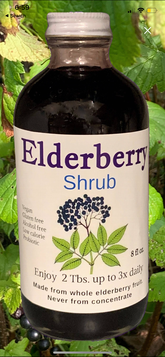Elderberry Shrub